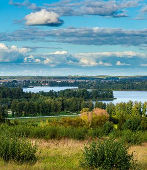 View of a calm natural landscape, like a forest or lake.